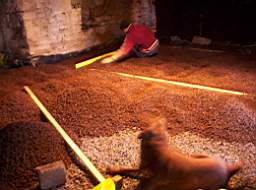 225 -
                          toormore-2206.jpg